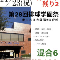 《満枠》第28回排球学園祭　混合ロゴ