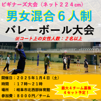 男女混合6人制バレーボール大会（ネット高さ224cm・女性2名以上）ロゴ