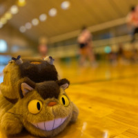 第94回ネコバス杯混合オープンロゴ