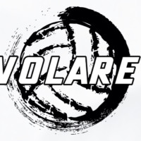 VOLARECUP2025ロゴ