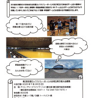 第2回全国ミックスバレーボール大会埼玉県予選会ロゴ