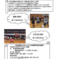 第21回全国ミックスバレーボール大会静岡県予選大会ロゴ