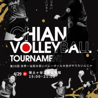 第29回世界一治安のいいバレーボール大会がやりたいんじゃロゴ
