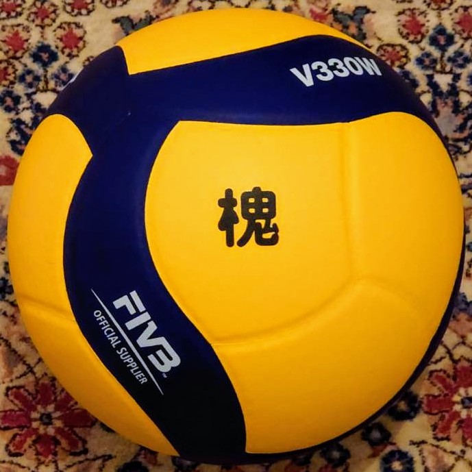 槐（えんじゅ）