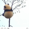 原みずきロゴ