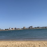 あやかロゴ