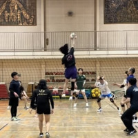 taikiロゴ