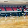 井村謙信ロゴ