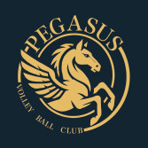 S_PEGASUSロゴ