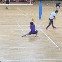 ガッキーロゴ