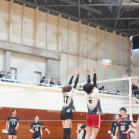 なつみんごロゴ