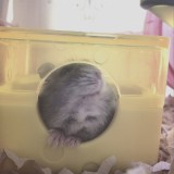 なつみロゴ