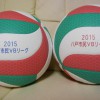 八戸市民VBリーグロゴ