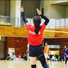帝(てい)ロゴ