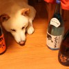 ナガ.comロゴ