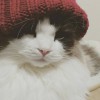 れいロゴ