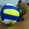 サカエコックロゴ