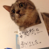 ひろあきロゴ