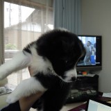たかやんロゴ