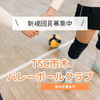 TSC市木バレーボールクラブロゴ