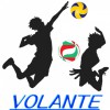 VOLANTE(ヴォランテ)ロゴ