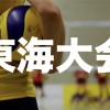 SPORTS PARK(東海)|毎週バレー大会開催！ロゴ