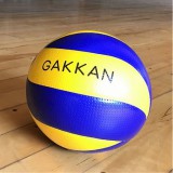 東京学館高校男子バレーボール部ロゴ