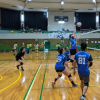 Udon Mixed Volleyballロゴ