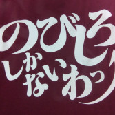 NOBISHIROロゴ