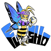 風勝達ロゴ
