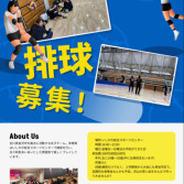 PaletteValleybalClubロゴ