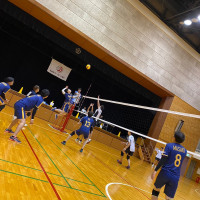 bellsロゴ